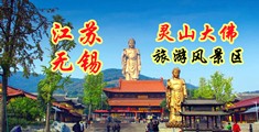 www.美女的bb江苏无锡灵山大佛旅游风景区