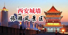 狂操黑丝骚逼中国陕西-西安城墙旅游风景区