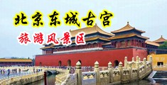 国产美女搞黄色好爽美女中国北京-东城古宫旅游风景区
